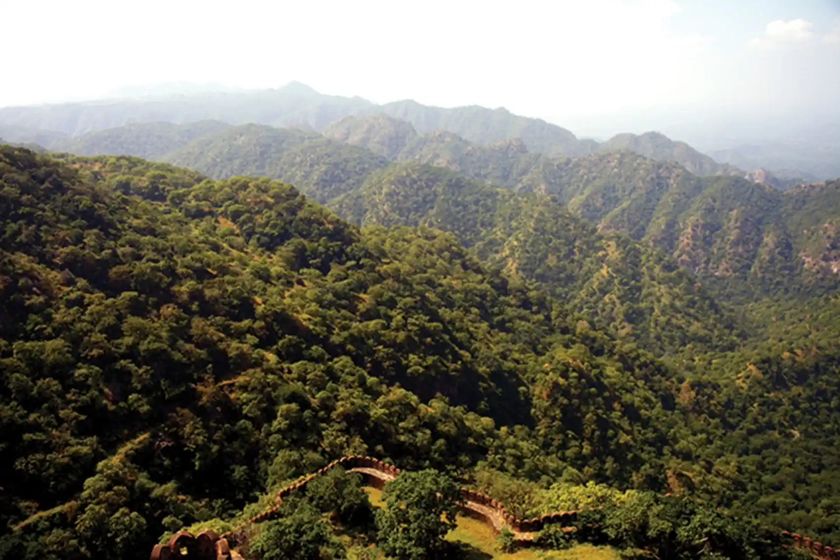 Hidden Gems You Can Explore with a Private Taxi Kumbhalgarh Wildlife Sanctuary – A Haven for Leopards