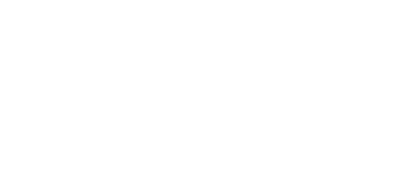 Udaipur Tours